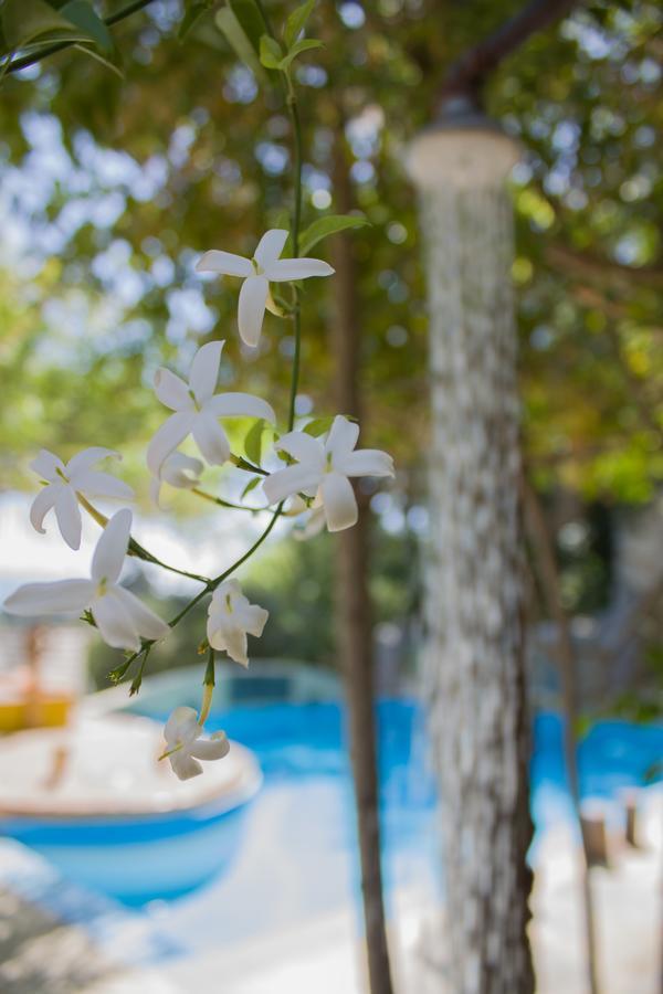 Holiday home Malaxiana
